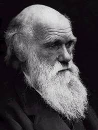 De evolutietheorie Charles Darwin